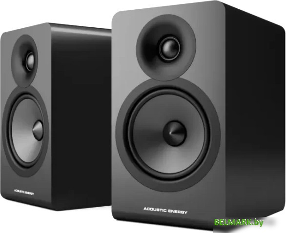 Полочная акустика Acoustic Energy AE100 2 (черный) - фото