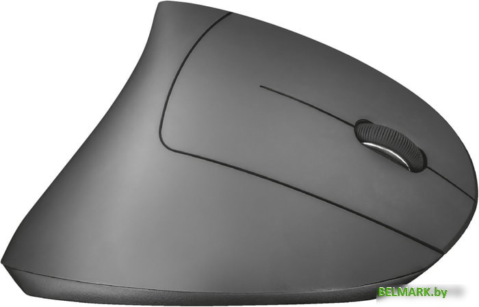 Мышь Trust Verto Wireless - фото2