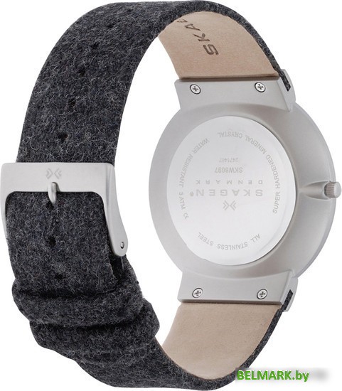 Наручные часы Skagen SKW6097 - фото2