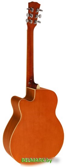 Акустическая гитара Elitaro E4010 N - фото2