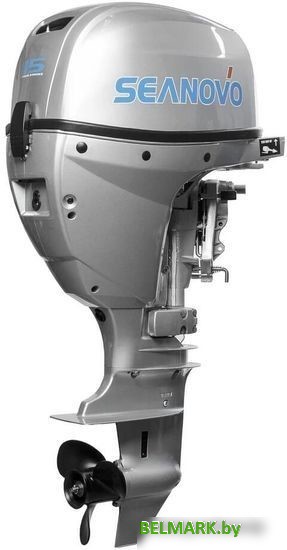 Лодочный мотор Seanovo SN EF 15 HEL Enduro - фото2