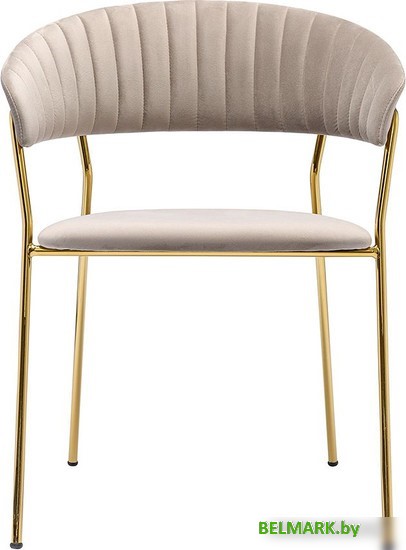 Стул с подлокотниками Bergenson Bjorn Stefany BB0000116 (серый) - фото2