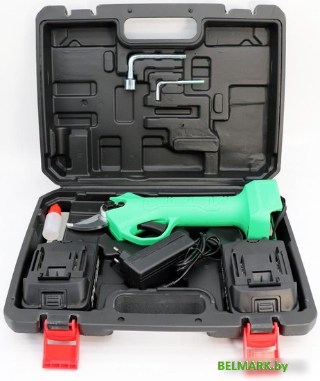 Секатор Zitrek GreenNer 20 082-1855 (с 2-мя АКБ, кейс) - фото