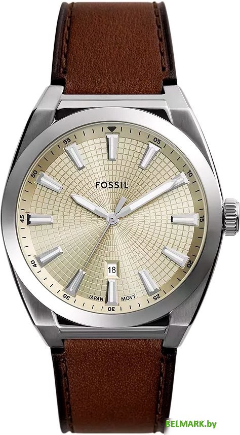 Наручные часы Fossil FS6071 - фото