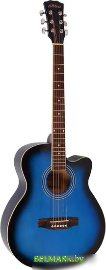 Акустическая гитара Elitaro E4010 BLS - фото