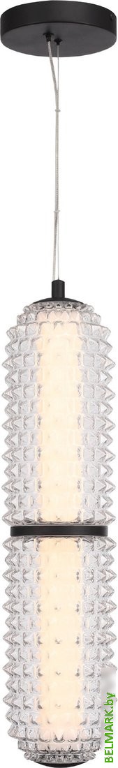 Подвесная люстра ST Luce SL6144.403.01 - фото