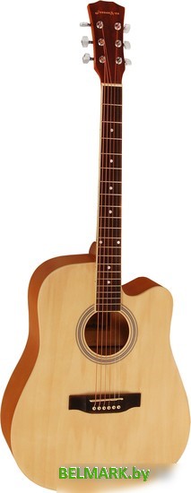 Акустическая гитара Elitaro E4120 N - фото
