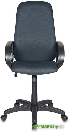 Кресло Бюрократ CH-808AXSN/TW-12 (серый) - фото2