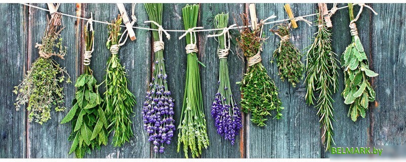 Картина на стекле Orlix Сушеные пучки трав GL-00882 30x80 см - фото