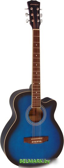 Акустическая гитара Elitaro E4020 BLS - фото