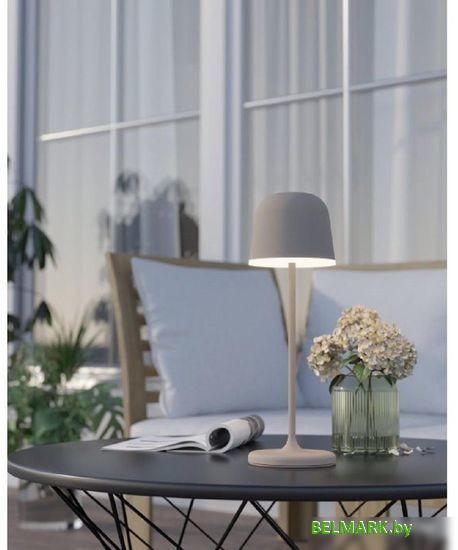 Садовый светильник Eglo Mannera 900461 - фото2