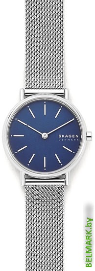 Наручные часы Skagen Signatur SKW2759 - фото2