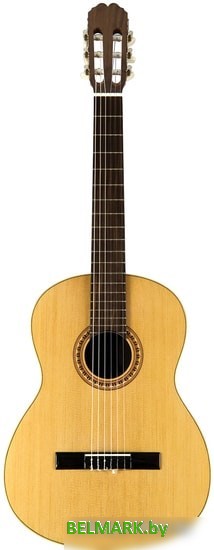 Акустическая гитара Manuel Rodriguez MR-MODEL-C10 - фото