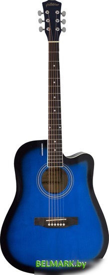 Акустическая гитара Elitaro E4110 BLS - фото