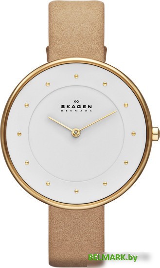 Наручные часы Skagen SKW2137 - фото