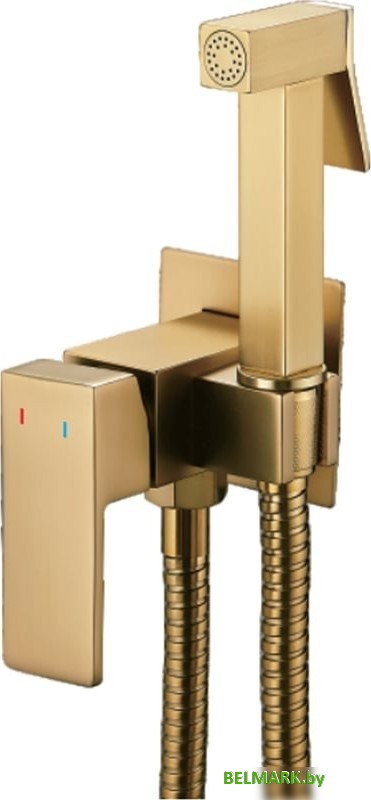 Гигиенический душ Shevanik S127G - фото