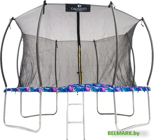 Батут Calviano Inside Master Smile 374 см - 12ft (внутренняя сетка, с лестницей) - фото
