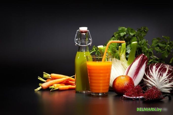 Соковыжималка Gotze & Jensen SJ901T - фото2