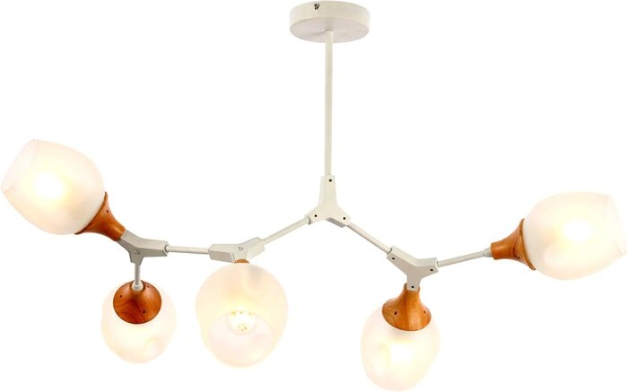 Люстра средней высоты Evoluce Ciotolla SLE113502-05 - фото2