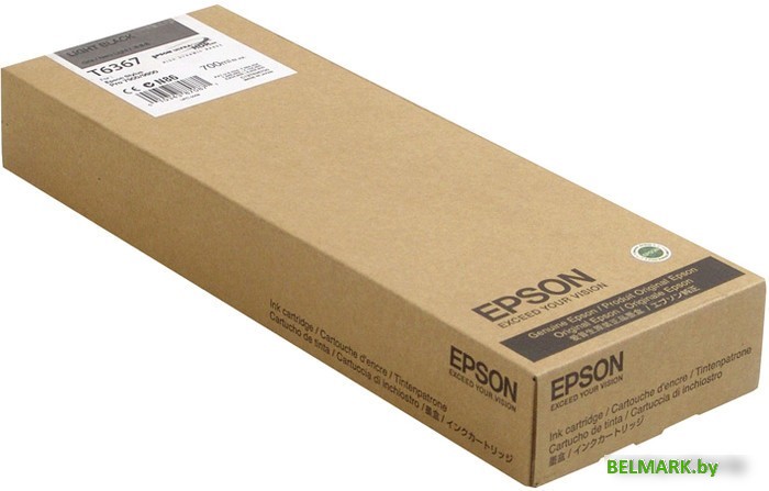 Картридж Epson C13T636700 - фото
