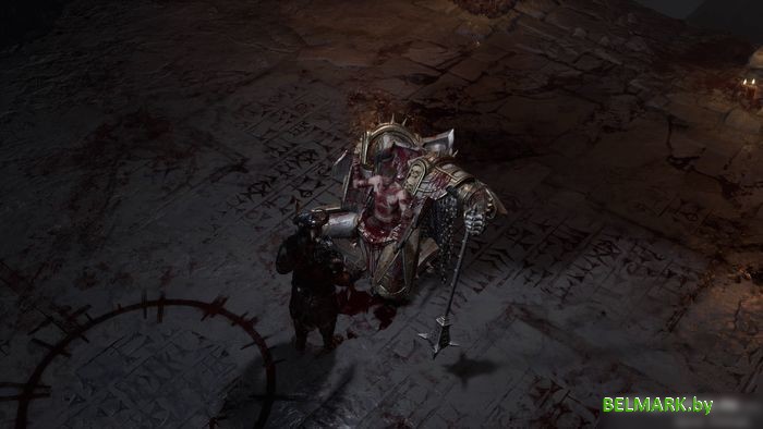 Diablo IV для PlayStation 4 Diablo IV - фото2