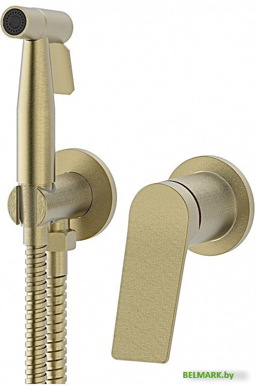 Гигиенический душ Vieir V343553-S - фото