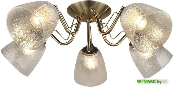 Припотолочная люстра Aitin Pro C1511/5 - фото