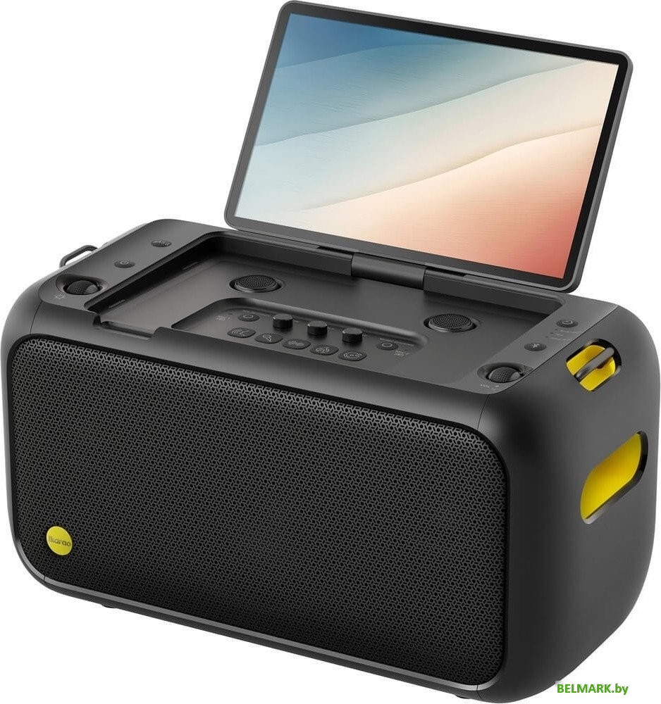 Колонка с умным дисплеем Ikarao Break X1 - фото2