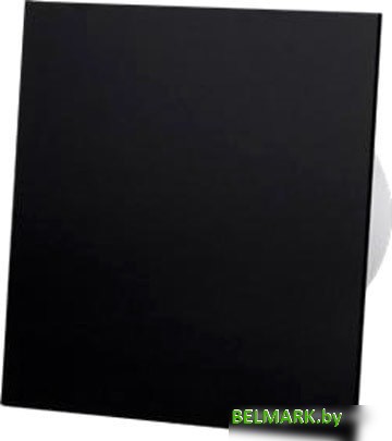 Вытяжной вентилятор airRoxy dRim 125TS-C162 - фото