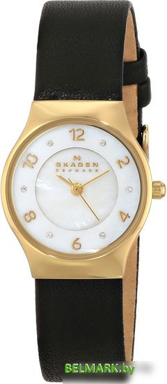 Наручные часы Skagen SKW2209 - фото