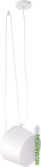 Подвесная люстра Evoluce Trieste SLE120653-01 - фото