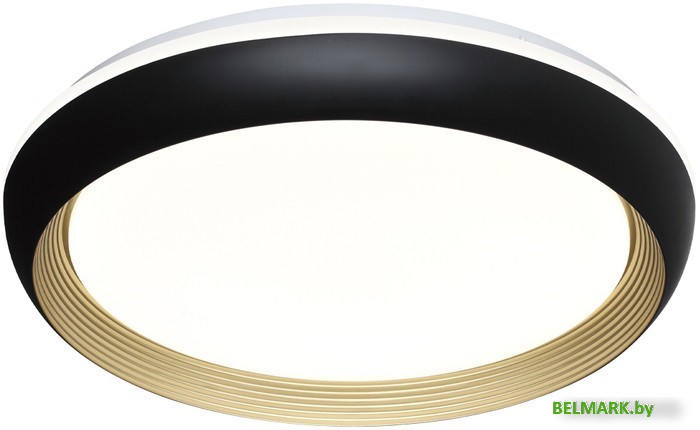 Припотолочная люстра Sonex Pale 7651/EL - фото