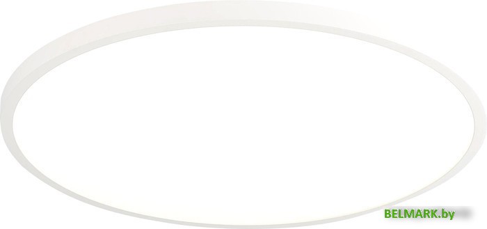 Припотолочная люстра ST Luce St601 ST601.542.48 - фото2