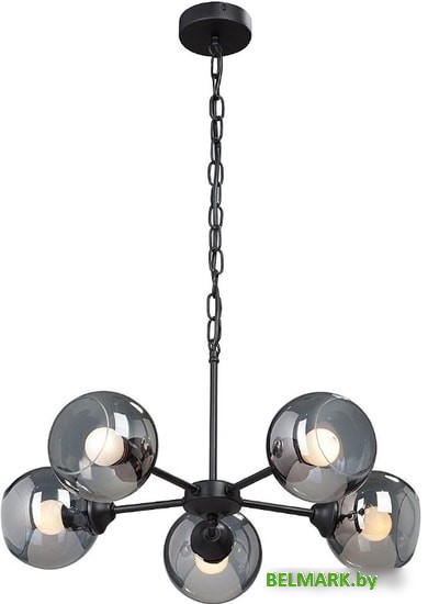 Подвесная люстра Vitaluce V4482-1/5 - фото