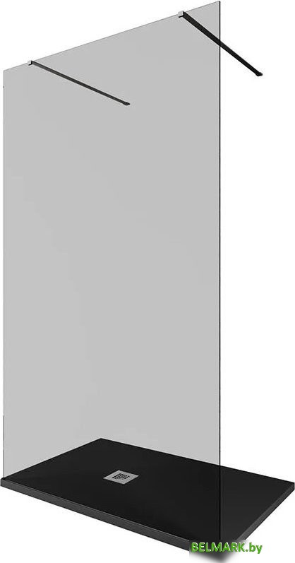 Душевая стенка Allen Brau Infinity 2 3.21056.BA.T 323848 (серебро браш) - фото2