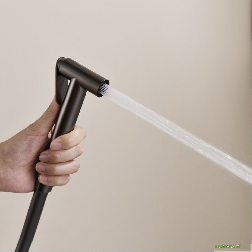 Гигиенический душ Ganzer GZ19157-Q - фото2