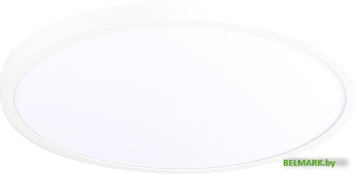 Припотолочная люстра ST Luce St601 ST601.542.48 - фото