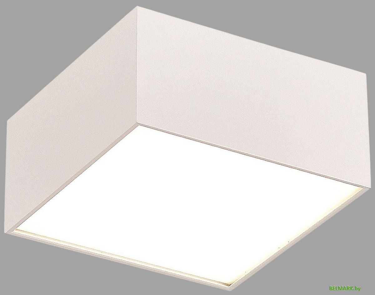 Припотолочная люстра ST Luce ST608.532.27 - фото