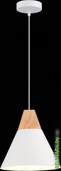 Подвесная люстра Evoluce SLE125103-01 - фото