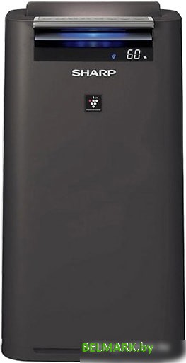 Мойка воздуха Sharp KC-G50EUH - фото