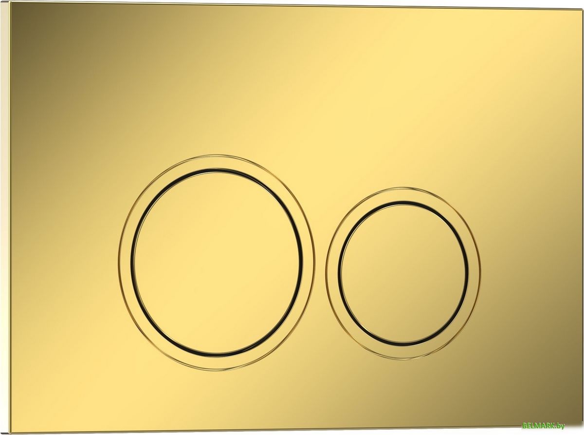 Панель смыва Roxen Santi 410260G - фото2