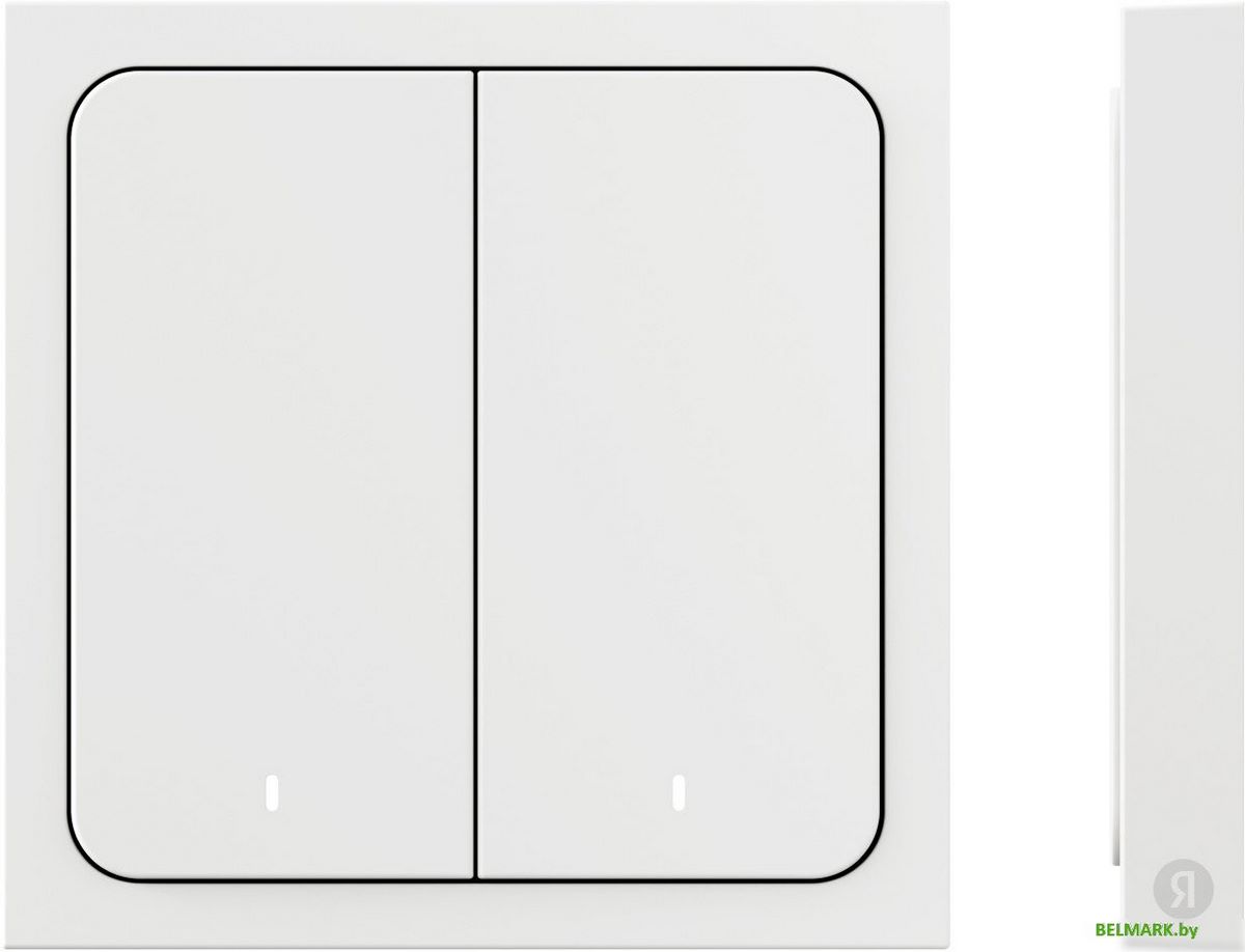 Выключатель Яндекс YNDX-00535 (2 клавиши) - фото