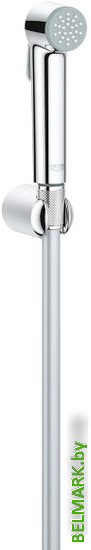 Душевой гарнитур Grohe Tempesta-F Trigger Spray 30 27513001 - фото