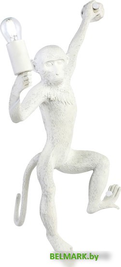 Бра Evoluce Tenato SLE115111-01 - фото