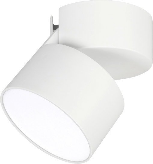 Спот Arlight SP-RONDO-FLAP-R110-25W Day4000 028160 - фото