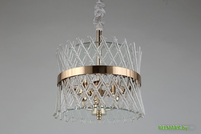 Подвесная люстра Aployt Toinet APL.734.06.03 - фото2