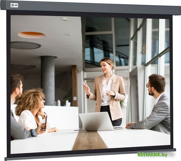 Проекционный экран CACTUS Wallscreen 127x127 CS-PSW-127X127-SG - фото