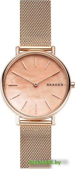 Наручные часы Skagen SKW2732 - фото