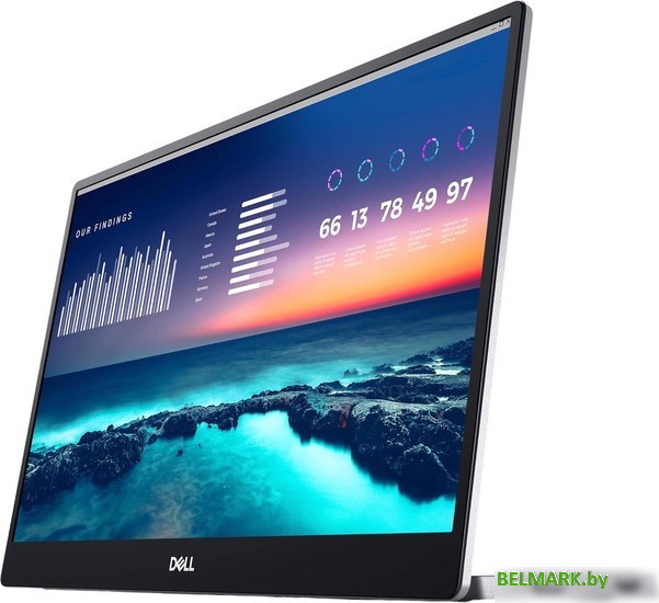 Портативный монитор Dell P1424H - фото