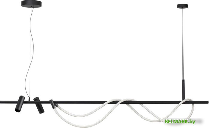 Подвесная люстра Odeon Light Corda 4391/40L - фото